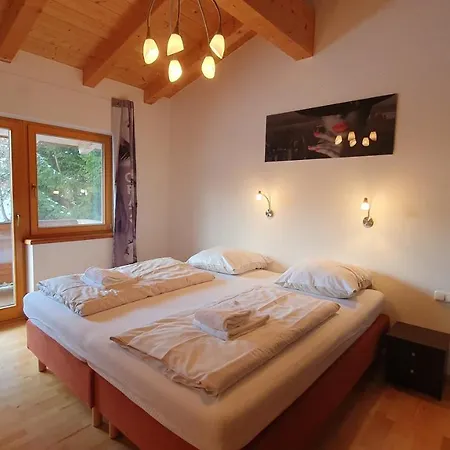Lejlighed Haus Carina Kirchberg in Tirol