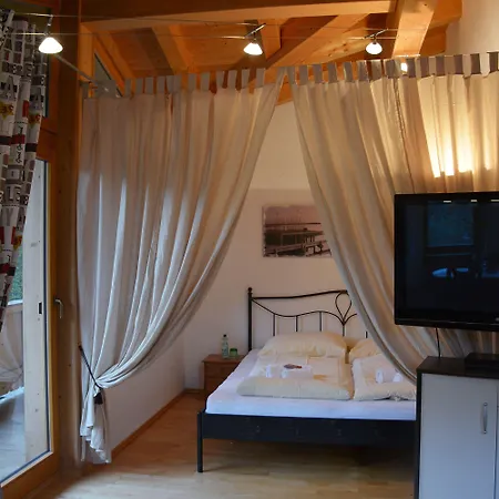 Haus Carina Lägenhet Kirchberg in Tirol